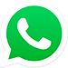 Whatsapp SECOLI