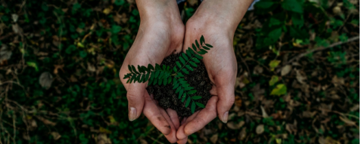 Sustentabilidade, faz parte da nossa missão.